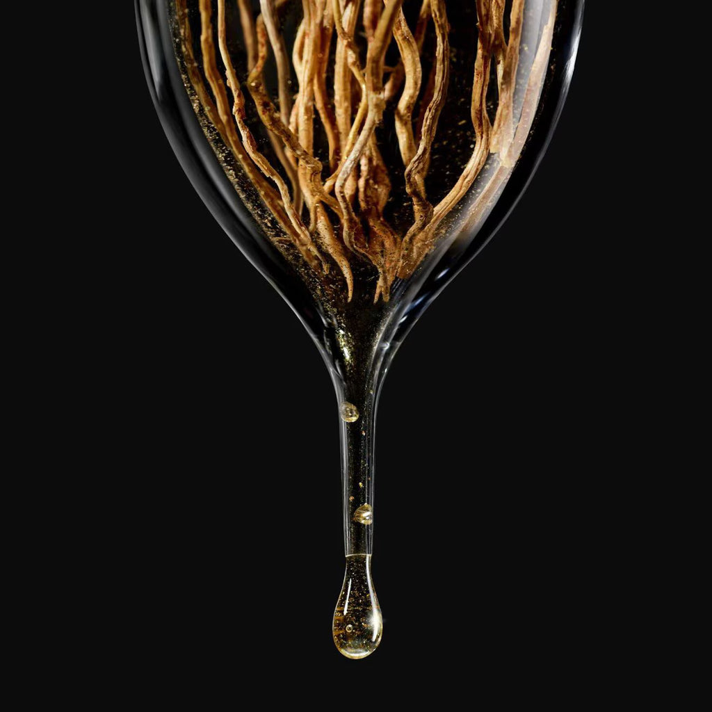 Privé Noir Kogane - Eau de Parfum