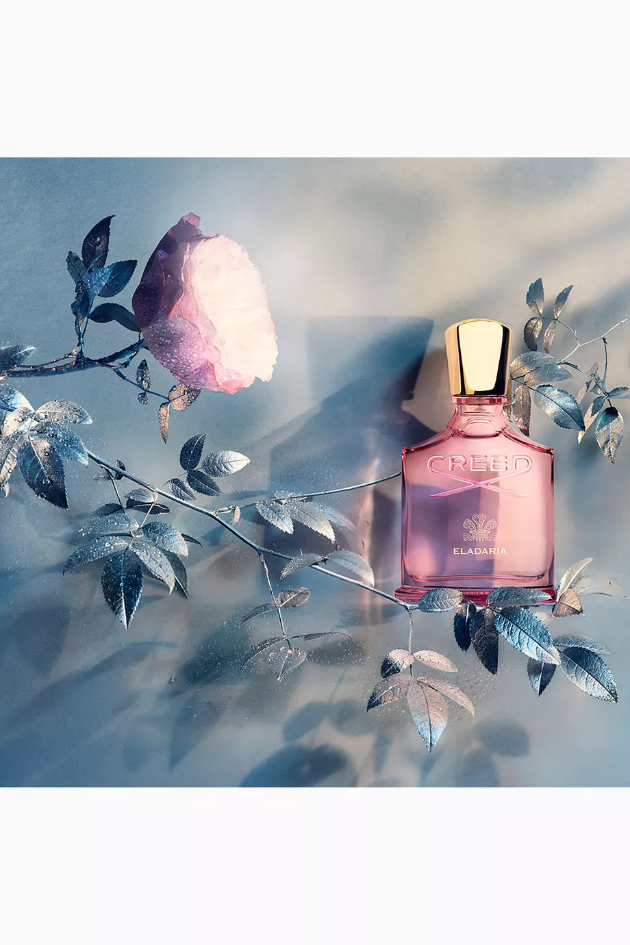 Eladaria - Eau de Parfum